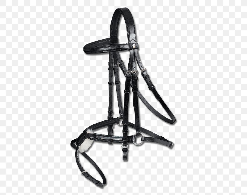 Horse Bridle Equestrian Halter Rein, PNG, 567x648px, Horse, Bridle, Equestrian, Equestrian Sport, Frentera Download Free