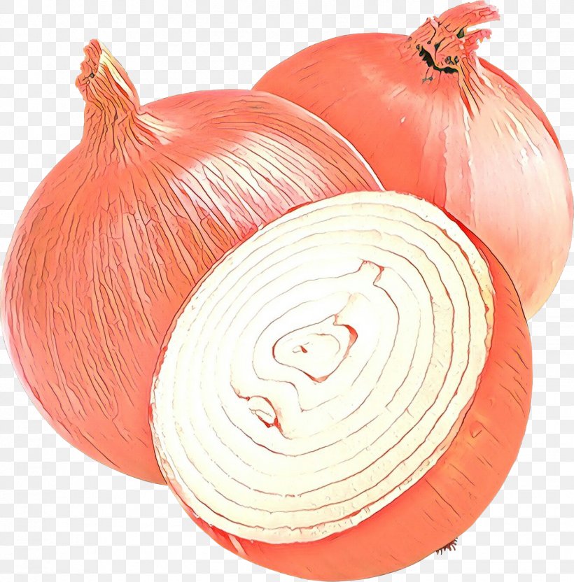 Red Onion Food Vegetable White Onion Greek Cuisine, PNG, 1532x1556px, Red Onion, Allium, Amaryllis Family, Food, Garlic Download Free