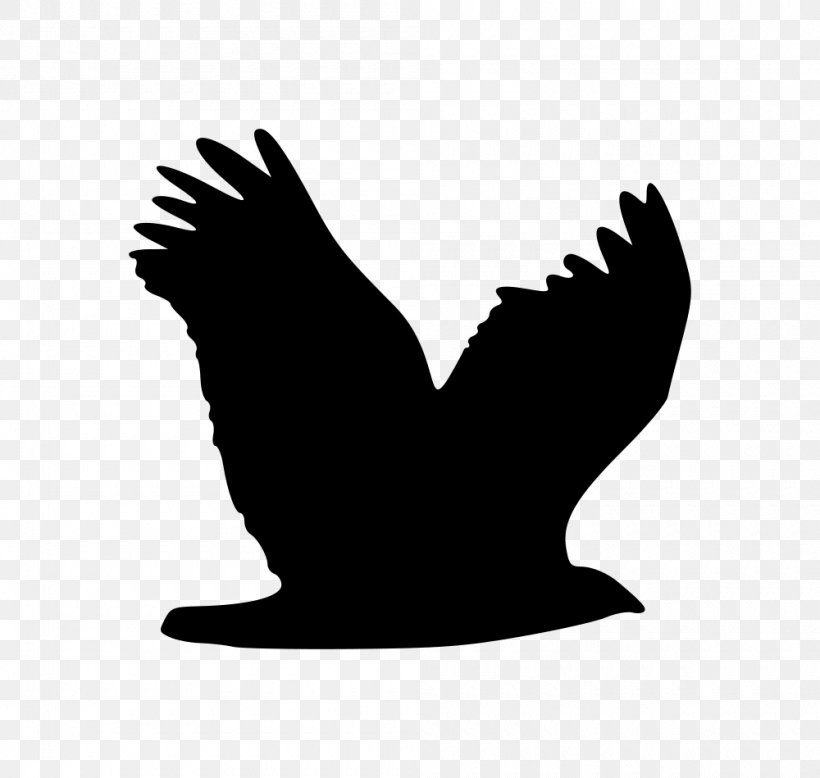 Bird Eagle Wing Clip Art, PNG, 1000x949px, Bird, Beak, Bird Of Prey, Black And White, Changeable Hawkeagle Download Free
