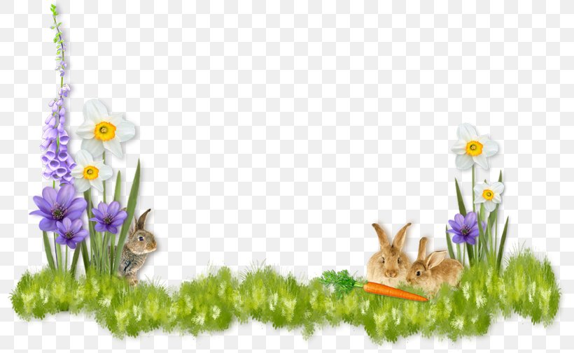 Easter Bunny We Love Easter Easter Basket Easter Egg, PNG, 800x505px, Easter Bunny, Basket, Easter, Easter Basket, Easter Egg Download Free