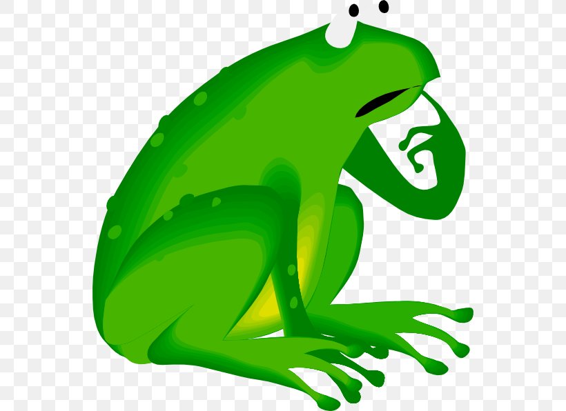 Frog Cartoon, PNG, 552x596px, Frog, Agalychnis, American Bullfrog, Amphibians, Animal Download Free