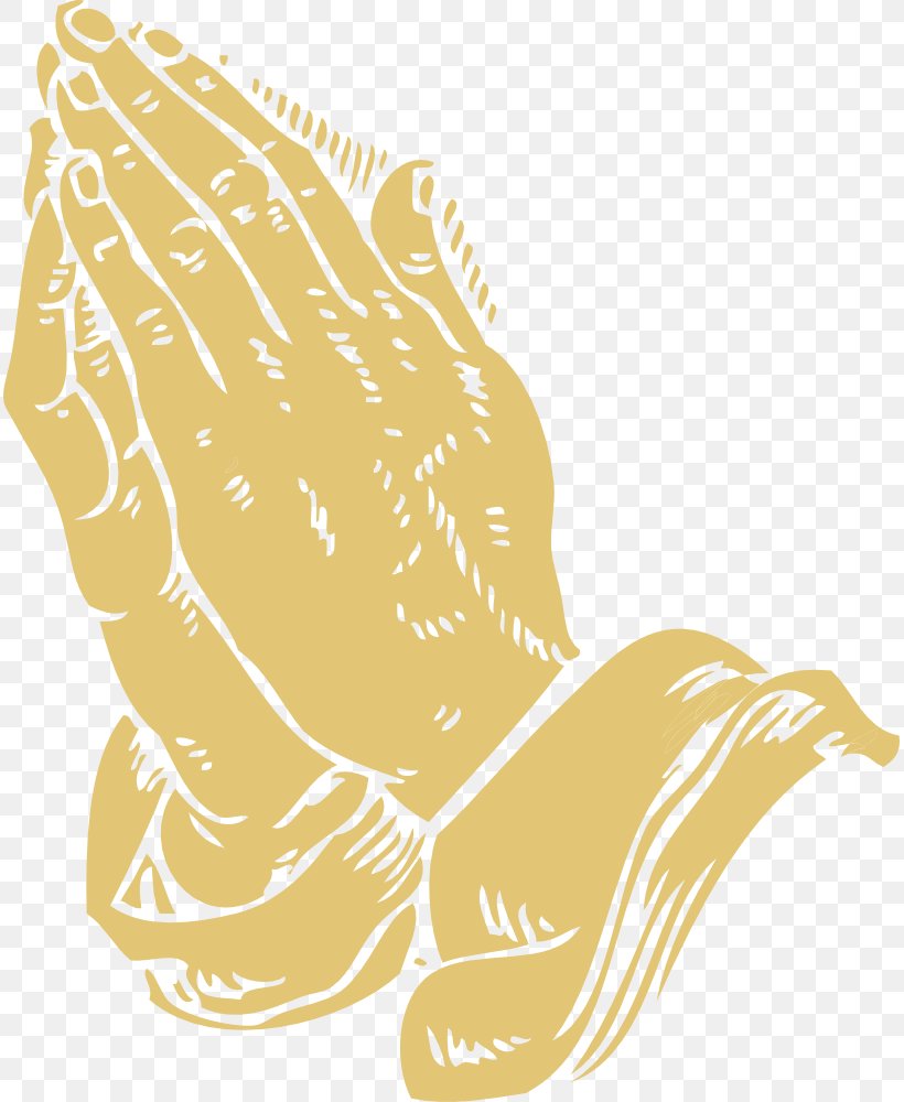 Praying Hands Bible Prayer God Religion, PNG, 813x1000px, Praying Hands, Area, Art, Beak, Bible Download Free