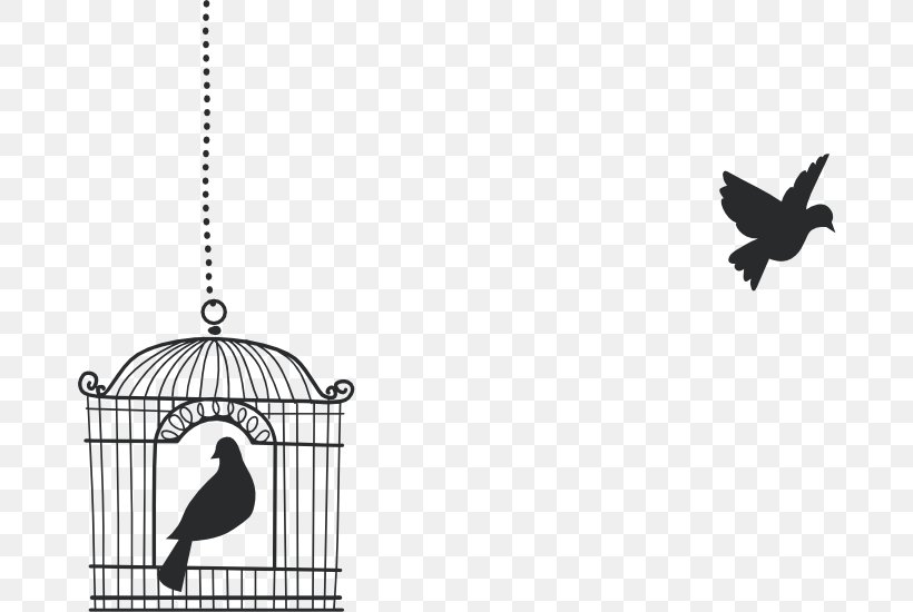 Wall Decal Bumper Sticker Wing, PNG, 700x550px, Wall Decal, Beak, Bird, Birdcage, Black Download Free