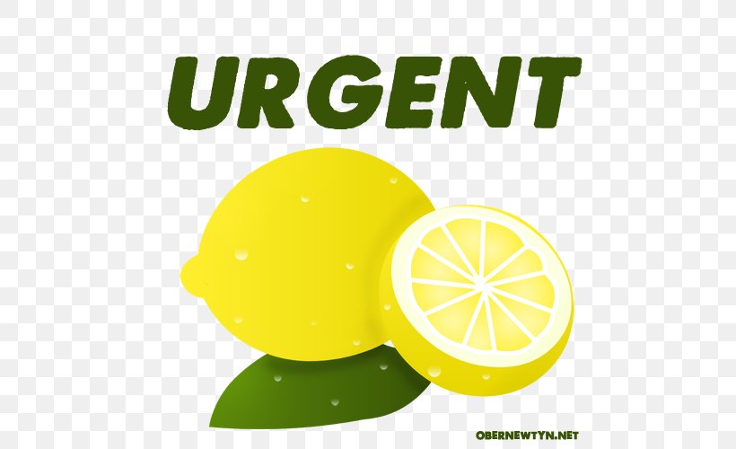 World Toilet Organization ECHN Urgent Care At South Windsor Sanitation, PNG, 500x500px, World Toilet Organization, Citric Acid, Citrus, Community, Emergency Department Download Free