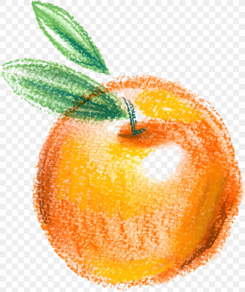 Clementine Apple Icon, PNG, 900x1071px, Clementine, Apple, Auglis, Citrus, Diet Food Download Free