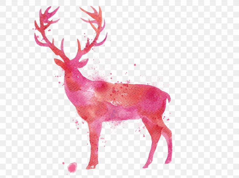 Deer Watercolor Painting Drawing, PNG, 5000x3715px, Deer, Antler, Art, Drawing, Mammal Download Free
