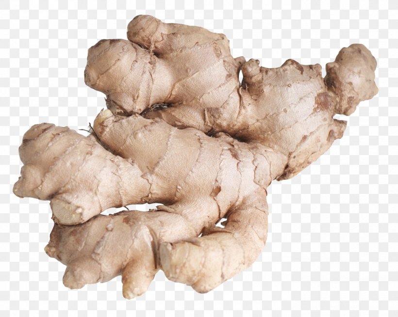 Ginger Herb Cure Health, PNG, 1395x1114px, Ginger, Disease, Food, Health, Image File Formats Download Free