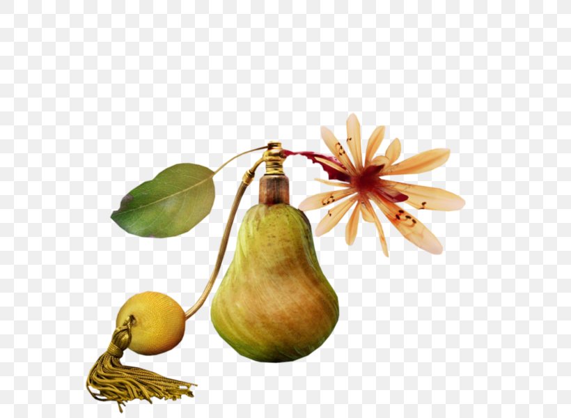 Pear Perfume, PNG, 600x600px, Pear, Blog, Centerblog, Designer, Food Download Free