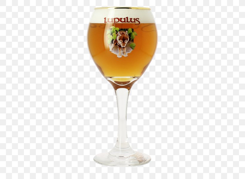 Brauerei Lupulus Wheat Beer Wine Glass Wine Cocktail, PNG, 600x600px, Beer, Alcohol By Volume, Beer Cocktail, Beer Glass, Beer Glasses Download Free