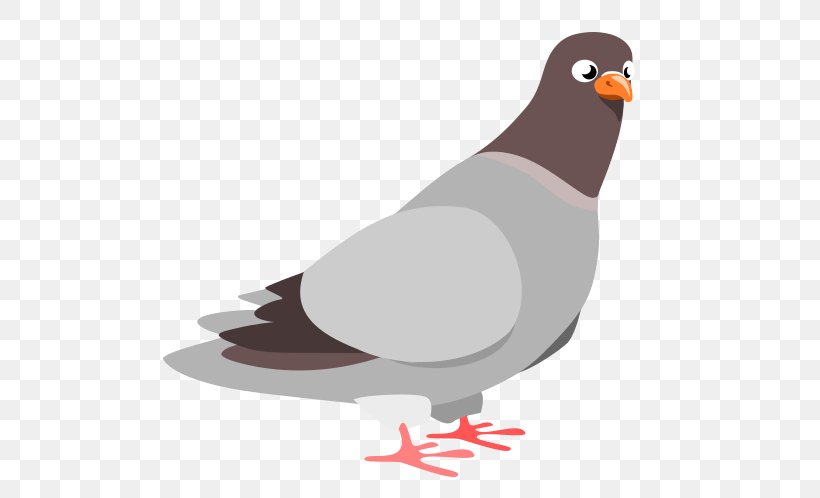 Columbidae Homing Pigeon Clip Art, PNG, 532x498px, Columbidae, Beak, Bird, Domestic Pigeon, Fauna Download Free