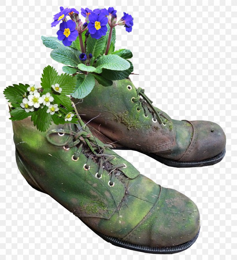 Flowerpot Boot Shoe Plants, PNG, 1168x1280px, Flower, Blue, Boot, Chrysanthemum, Daisy Family Download Free
