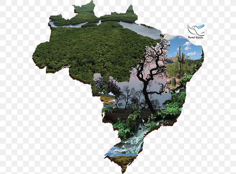 Fraternity Campaign Biomes In Brazil Episcopal Conference Of Brazil Edições CNBB, PNG, 600x606px, 2016, 2017, 2018, Biomes In Brazil, Biome Download Free