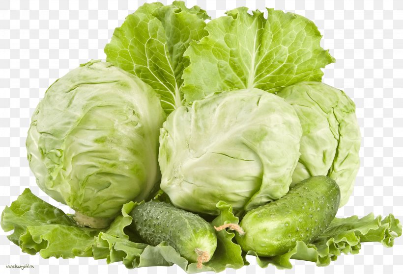 Red Cabbage White Cabbage Vegetable Cauliflower, PNG, 3067x2094px, Red Cabbage, Brassica Oleracea, Brussels Sprout, Cabbage, Cauliflower Download Free