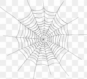 Spider Web Clip Art Vector Graphics Design, PNG, 666x691px, Spider ...