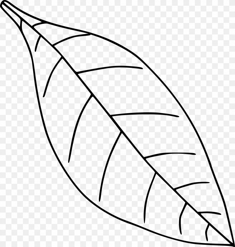 Leaf Drawing Black And White Clip Art, PNG, 2283x2397px, Leaf, Area