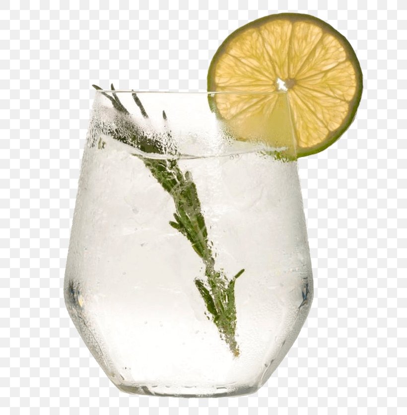 Lime Lemon-lime Vodka And Tonic Gin And Tonic Highball Glass, PNG, 770x836px, Lime, Citrus, Drink, Gin And Tonic, Highball Glass Download Free