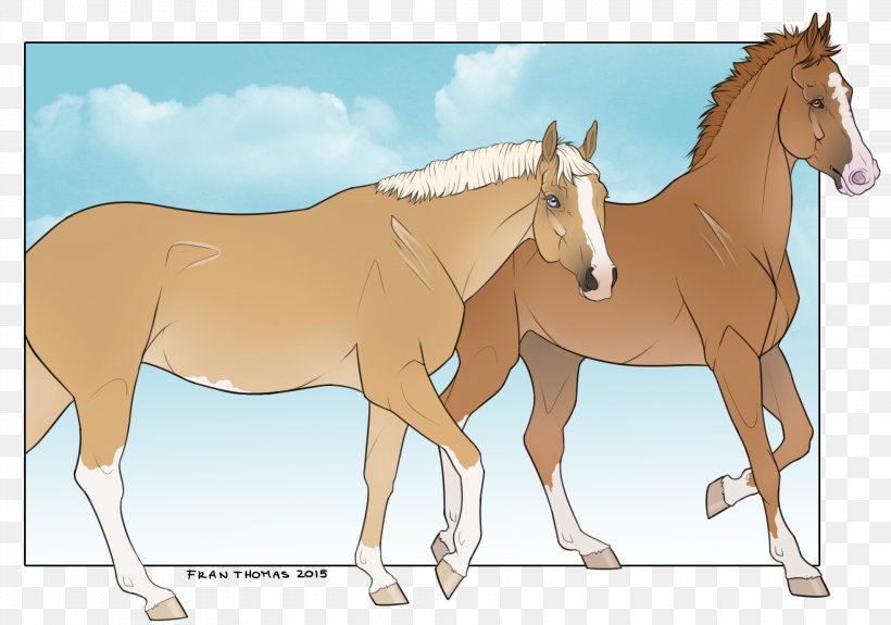 Mule Foal Stallion Mare Mustang, PNG, 1968x1380px, Mule, Bridle, Cartoon, Colt, Ecoregion Download Free