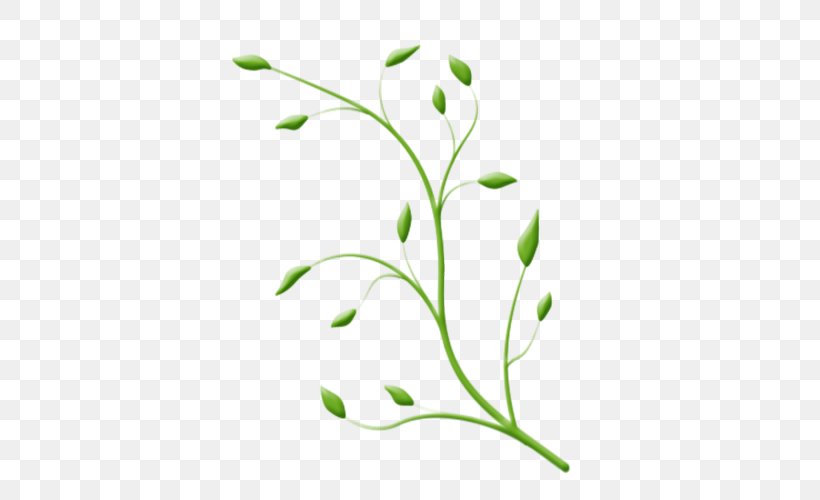 Plant Stem Leaf Flower Theatre Clip Art, PNG, 500x500px, Plant Stem, Branch, Branching, Flora, Flower Download Free