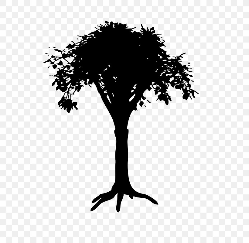 Branch Silhouette Tree Drawing, PNG, 618x800px, Branch, Art, Black And White, Drawing, Leaf Download Free