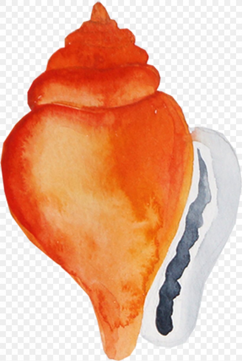 Sea Snail Conch Icon, PNG, 1220x1817px, Sea Snail, Conch, Orange, Pixel, Sea Download Free