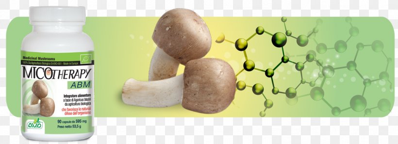 Agaricus Subrufescens Medicinal Fungi Fungus Common Mushroom, PNG, 1498x545px, Agaricus Subrufescens, Agaricus, Biology, Cancer, Caterpillar Fungus Download Free