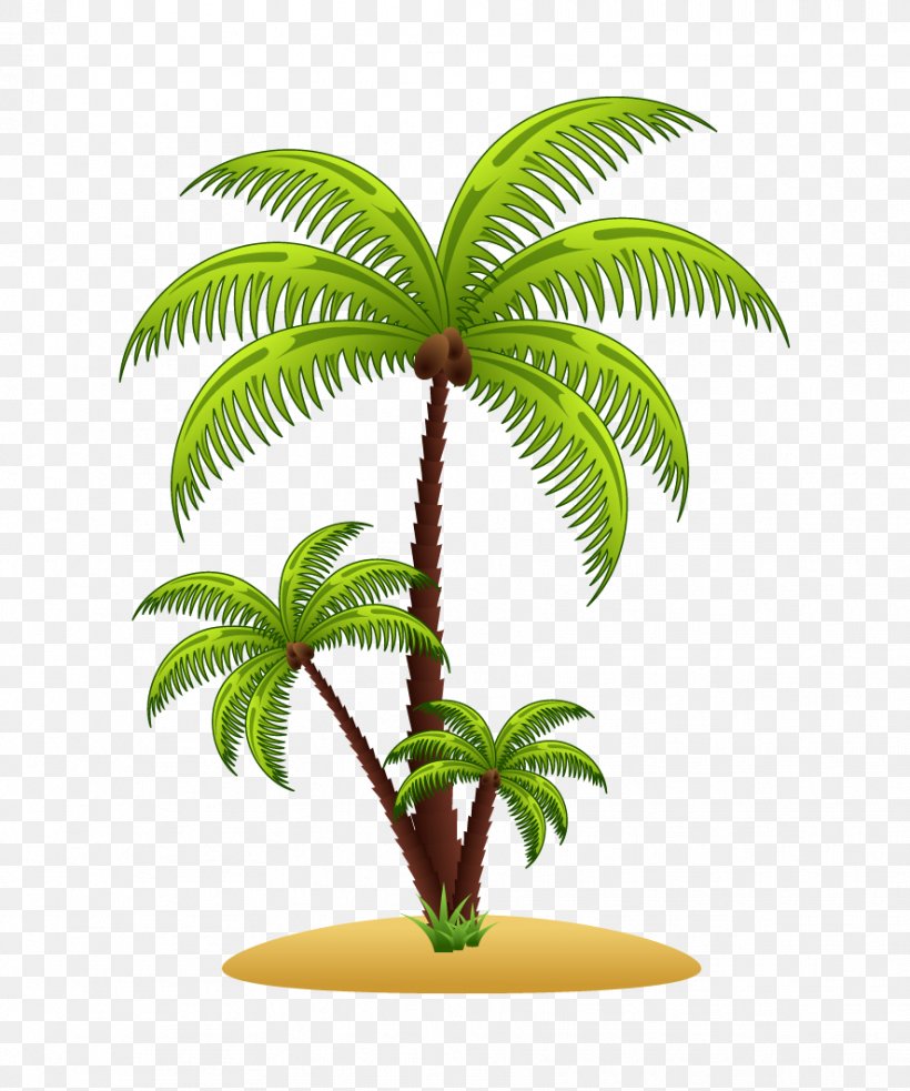 Arecaceae Euclidean Vector Tree Illustration, PNG, 886x1063px, Arecaceae, Arecales, Art, Coconut, Date Palm Download Free