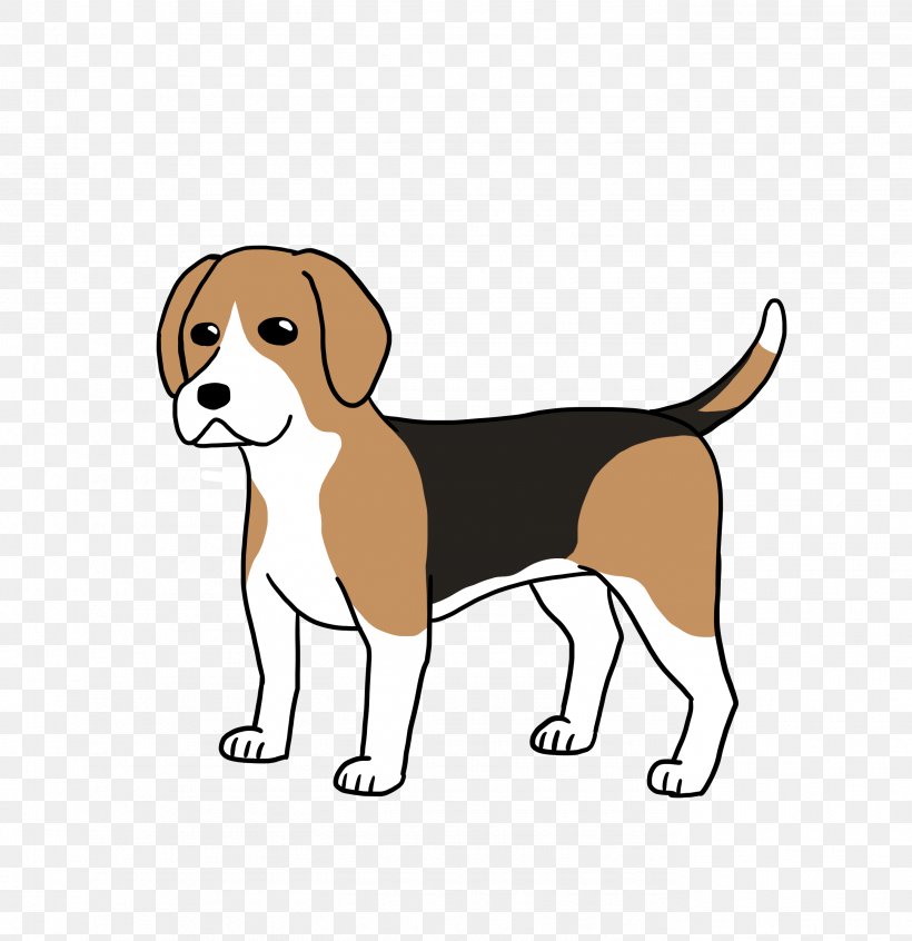 Beagle Harrier English Foxhound Puppy Dog Breed, PNG, 2756x2846px, Beagle, Breed, Carnivoran, Companion Dog, Dog Download Free