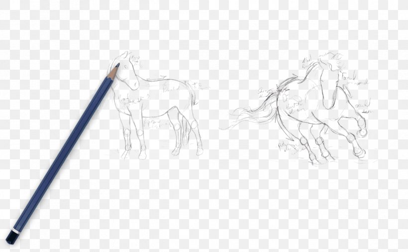 Drawing Mustang Pony Sketch, PNG, 1265x781px, Drawing, Animal, Arm, Artwork, Black And White Download Free
