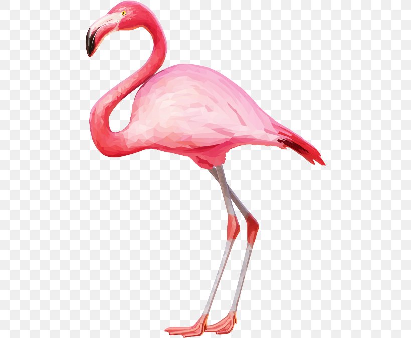 Flamingo Clip Art, PNG, 480x675px, Flamingo, Beak, Bird, Digital Image, Ibis Download Free