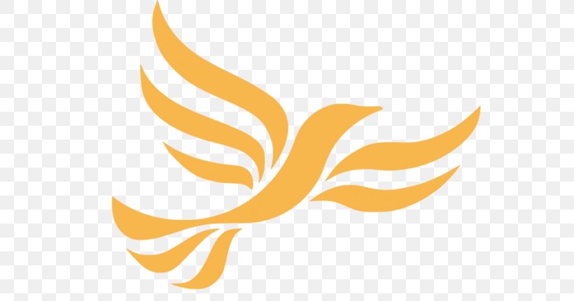 United Kingdom General Election, 2010 Sheffield Hallam Liberal Democrats Cheadle United Kingdom General Election, 2017, PNG, 709x431px, Sheffield Hallam, Beak, Cheadle, Councillor, Election Download Free