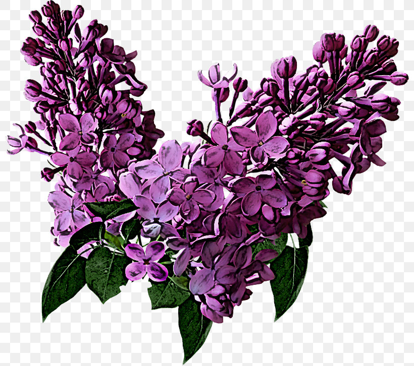 Artificial Flower, PNG, 800x726px, Flower, Artificial Flower, Branch, Buddleia, Cut Flowers Download Free