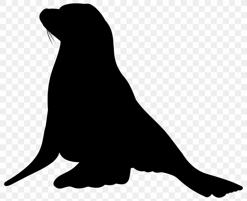 Sea Lion Dog Mammal Canidae, PNG, 2400x1956px, Sea Lion, Beak, Black, Black M, Blackandwhite Download Free
