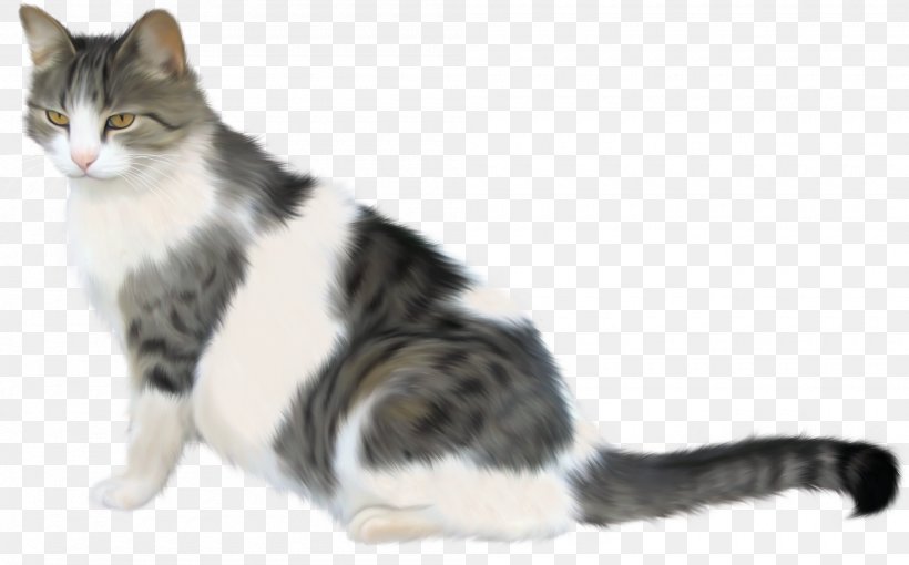Tabby Cat Kitten, PNG, 2000x1244px, Cat, Aegean Cat, American Shorthair, American Wirehair, Animal Download Free
