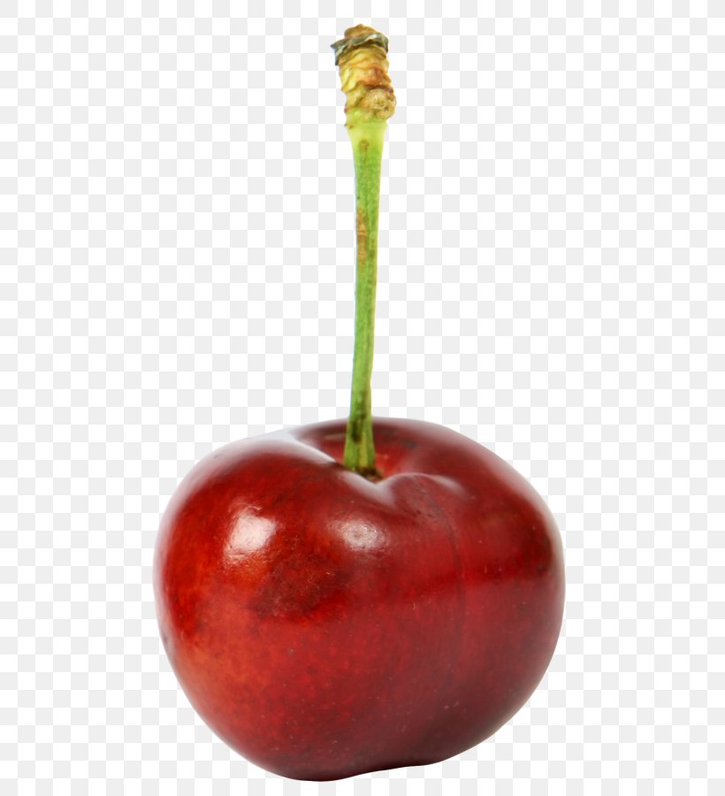 Cherry Fruit Apple, PNG, 500x900px, Cherry, Accessory Fruit, Apple, Berry, Food Download Free