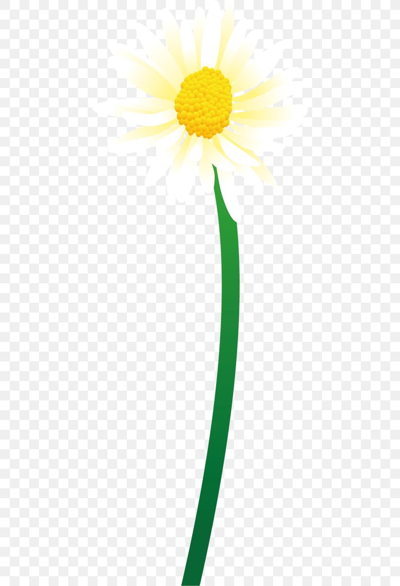 Common Daisy Oxeye Daisy Dandelion Petal Plant Stem, PNG, 442x1200px, Common Daisy, Daisy, Daisy Family, Dandelion, Flora Download Free