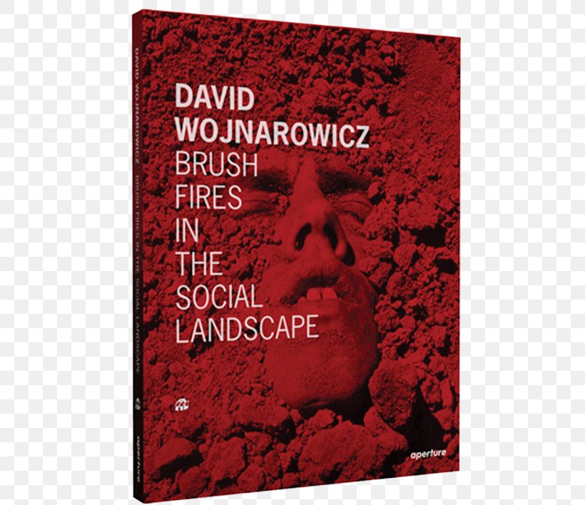 David Wojnarowicz: Brush Fires In The Social Landscape Photography Painting Wildfire International Pop, PNG, 570x708px, Photography, Aperture, Book, David Wojnarowicz, English Download Free