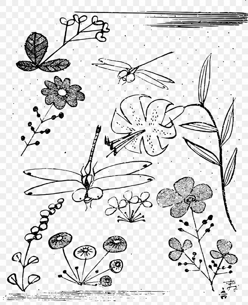 Line Art Drawing Clip Art, PNG, 1948x2400px, Line Art, Area, Art, Artwork, Black And White Download Free