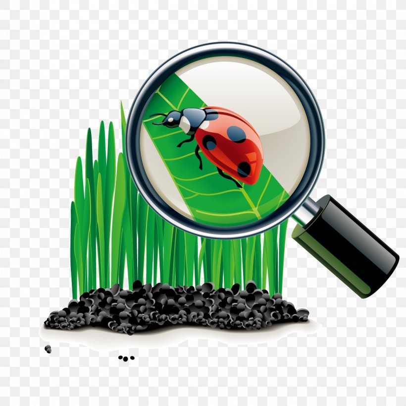 Magnifying Glass Cartoon Clip Art, PNG, 1181x1181px, Magnifying Glass, Cartoon, Chemistry, Drawing, Grass Download Free
