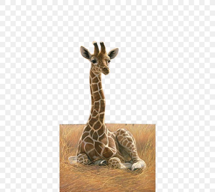 Northern Giraffe Rothschilds Giraffe Okapi Painting Art, PNG, 366x733px, Northern Giraffe, Animal, Art, Child, Drawing Download Free