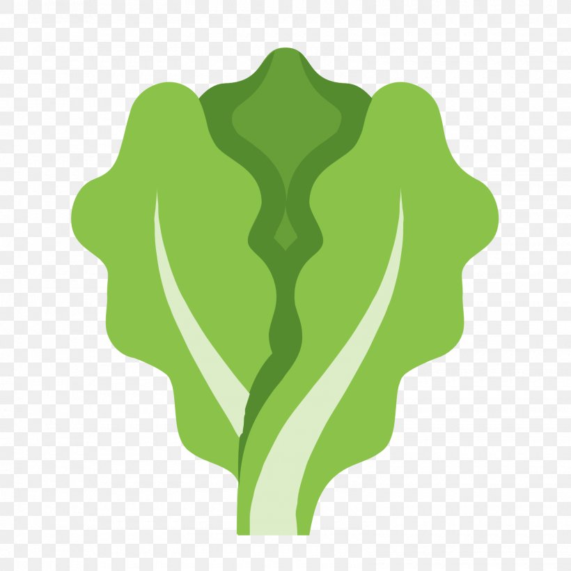 Organic Food Hamburger Lettuce, PNG, 1600x1600px, Organic Food, Beetroot, Broccoli, Cabbage, Flowering Plant Download Free