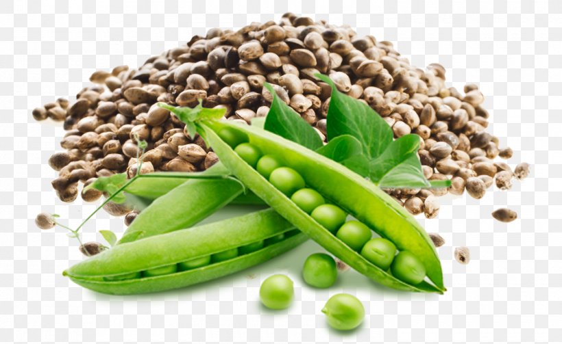 Pea Vegetarian Cuisine Health Vegetarianism Food, PNG, 1500x921px, Pea, Bean, Commodity, Diet, Eating Download Free