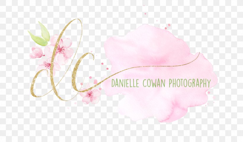 Petal Flower Floral Design Desktop Wallpaper, PNG, 1057x620px, Petal, Beauty, Beautym, Blossom, Clothing Accessories Download Free