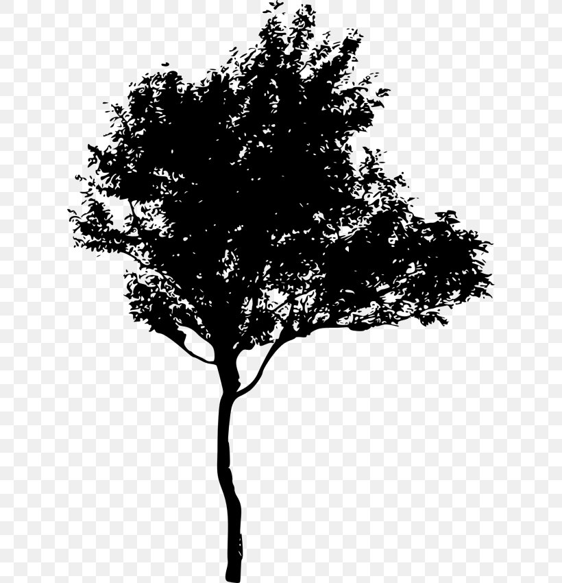 Clip Art Silhouette Vector Graphics Image, PNG, 624x850px, Silhouette, Art, Blackandwhite, Branch, Drawing Download Free