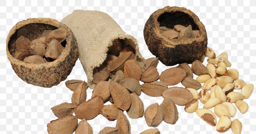 Brazil Nut Vitamin Chestnut Seed, PNG, 1200x630px, Nut, Brazil Nut, Chestnut, Commodity, Food Download Free