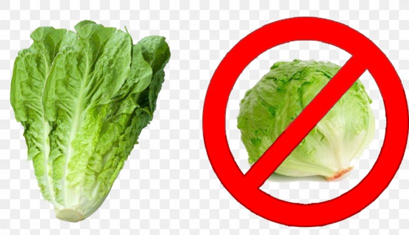 Romaine Lettuce Food Cruciferous Vegetables Flash Memory Cards Collard Greens, PNG, 981x565px, Romaine Lettuce, Cabbage, Chard, Collard Greens, Cruciferous Vegetables Download Free