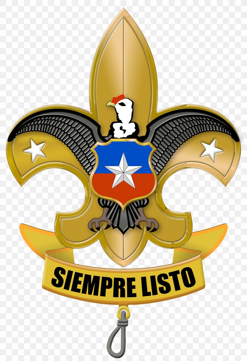 Agrupación Nacional De Boy Scouts De Chile Scouting Asociación De Guías Y Scouts De Chile Escultismo En Chile Organization, PNG, 1350x1975px, Scouting, Accounting, Conciencia De Derechos Y Deberes, Emblem, Fleurdelis Download Free