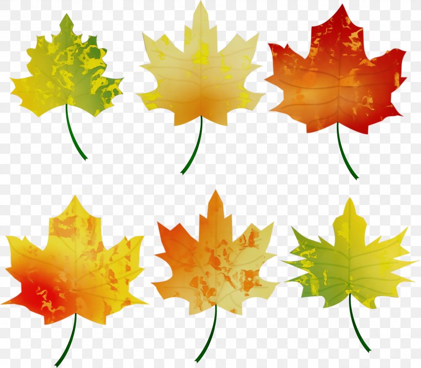 Fall Foliage, PNG, 2281x1998px, Watercolor, Autumn, Autumn Leaf Color, Black Maple, Color Download Free