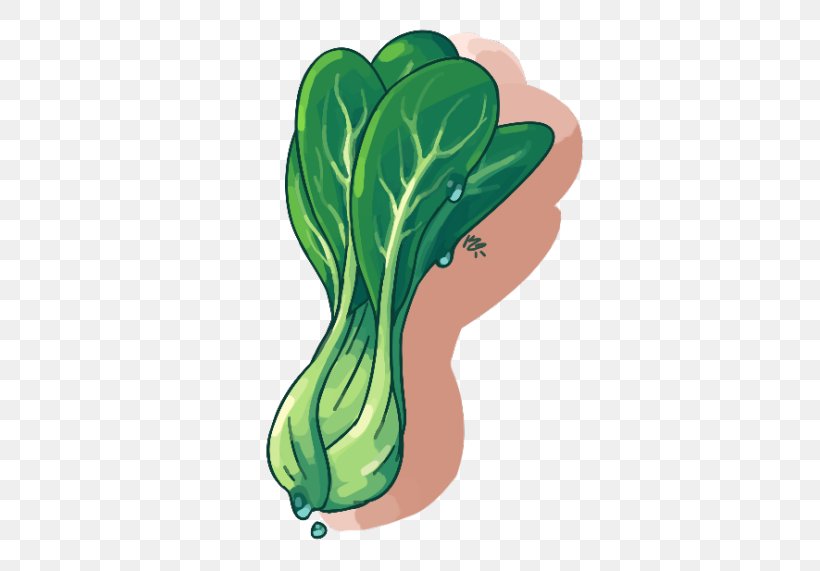 Leaf Vegetable, PNG, 500x571px, Leaf Vegetable, Cartoon, Food, Grass, Green Download Free