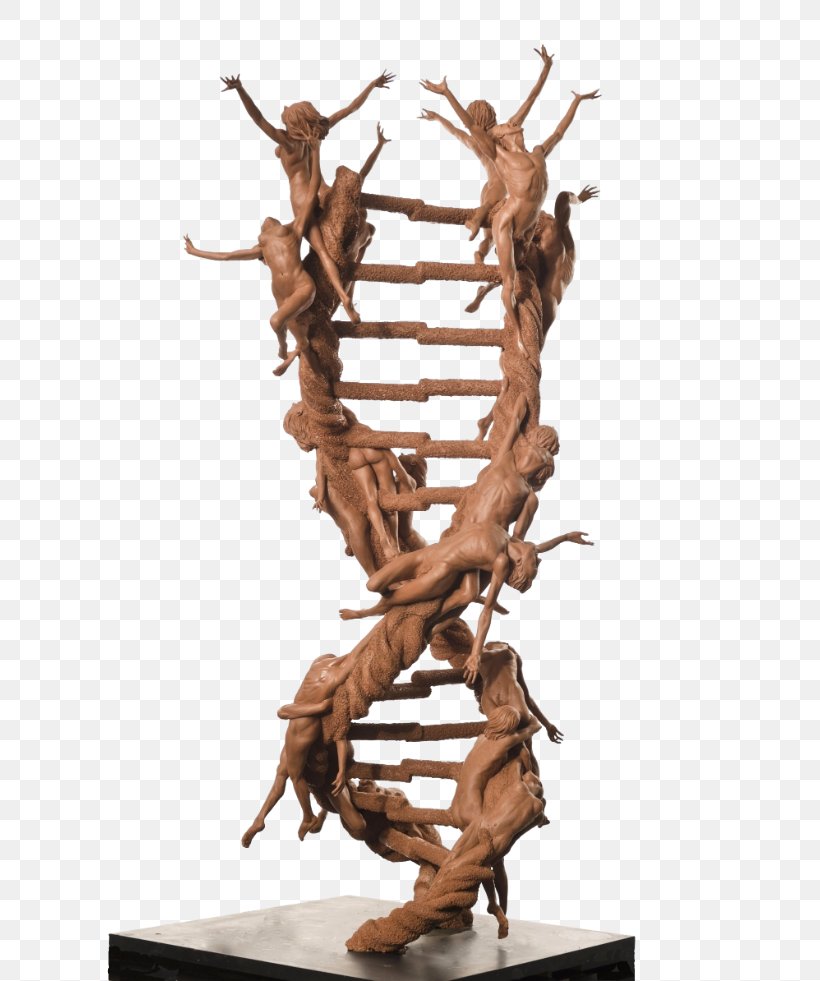 The Double Helix: A Personal Account Of The Discovery Of The Structure Of DNA Nucleic Acid Double Helix Sculpture Art, PNG, 650x981px, Nucleic Acid Double Helix, Art, Artist, Bronze, Bronze Sculpture Download Free