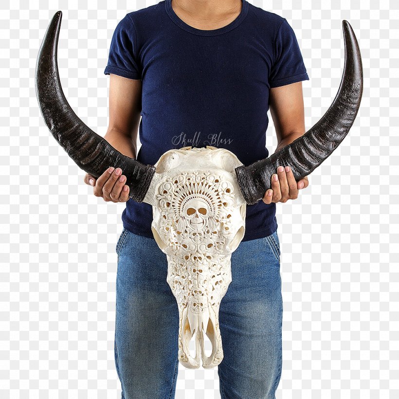 Human Skull Horn Human Skeleton, PNG, 1000x1000px, Skull, American Bison, Americans, Cattle, Culture Download Free